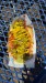 IMG-20250728-WA0005