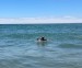 IMG-20250728-WA0008