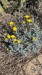 IMG-20250728-WA0013