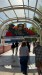 IMG-20250729-WA0000