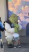 IMG-20250729-WA0013
