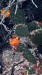 IMG-20260611-WA0060