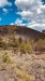IMG-20260612-WA0014