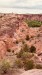 IMG-20260614-WA0001