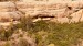IMG-20260615-WA0001