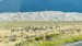 IMG-20260616-WA0000