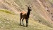 IMG-20260617-WA0008