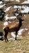 IMG-20260617-WA0010