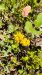 IMG-20260617-WA0015