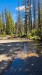 IMG-20260617-WA0018