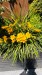 IMG-20260618-WA0011