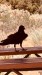 IMG-20260619-WA0017