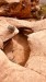 IMG-20260620-WA0002