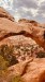 IMG-20260620-WA0007