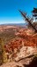 IMG-20260621-WA0000