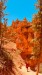 IMG-20260621-WA0014