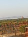 IMG-20200112-WA0018