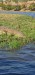 IMG-20210925-WA0002